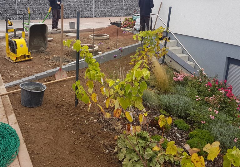 Neubau Gartenanlage André Braunbeck Meister im Garten und