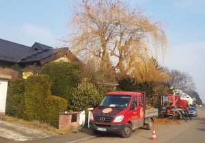 weide-schnitt_1