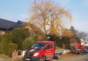 weide-schnitt_4